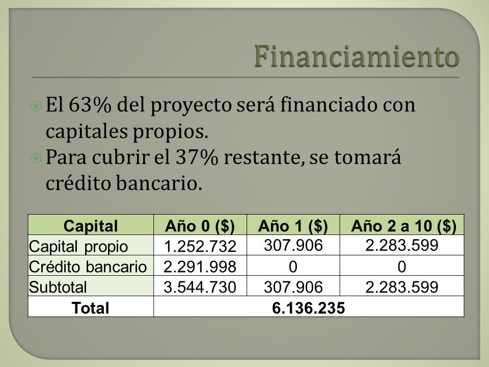 Financiamiento El 63% del proyecto será financiado con capitales propios. Para cubrir el 37% restante, se tomará crédito bancario.