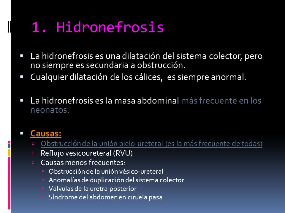 Aparato Urogenital 1 Hidronefrosis 2 Malformaciones Congenitas