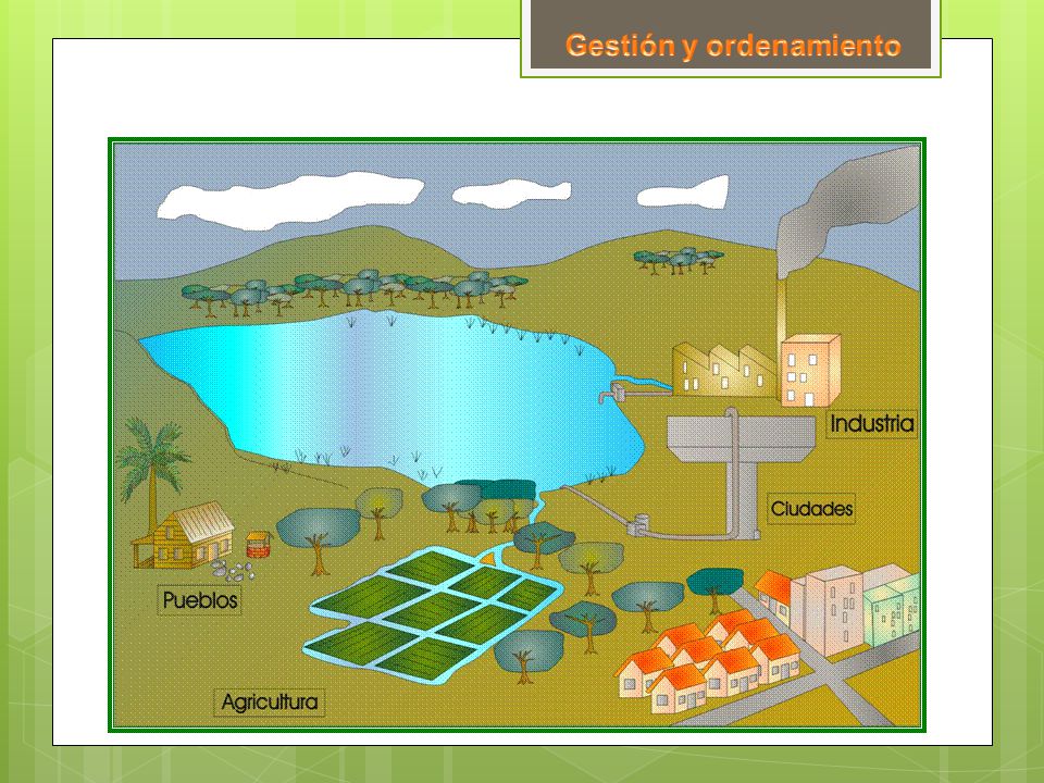 Gestión y ordenamiento