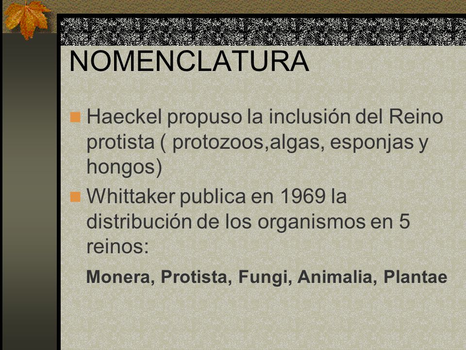 NOMENCLATURA Haeckel propuso la inclusión del Reino protista ( protozoos,algas, esponjas y hongos)