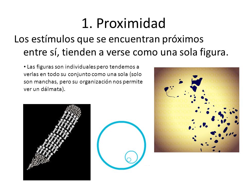 1. Proximidad Los estímulos que se encuentran próximos entre sí, tienden a verse como una sola figura.