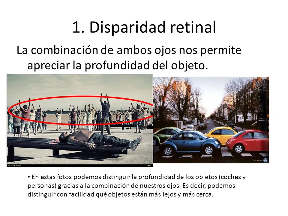 1. Disparidad retinal La combinación de ambos ojos nos permite apreciar la profundidad del objeto.