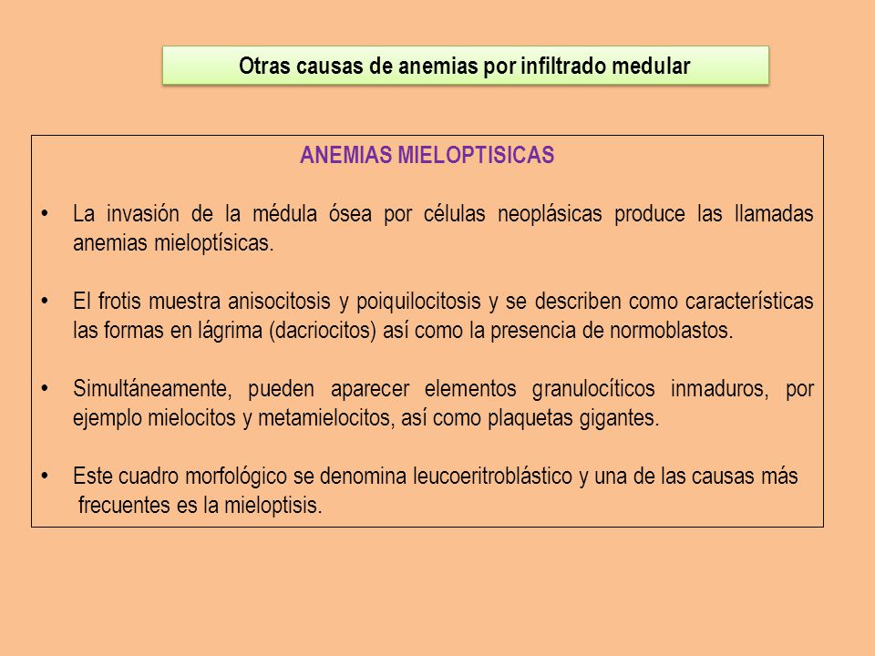 Otras causas de anemias por infiltrado medular ANEMIAS MIELOPTISICAS