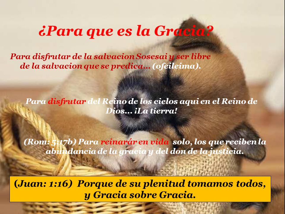 ¿Para que es la Gracia Para disfrutar de la salvacion Sosesai y ser libre de la salvacion que se predica… (ofeileima).