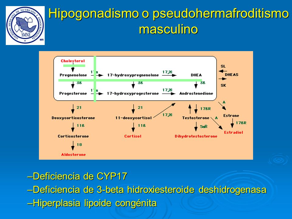 Hipogonadismo o pseudohermafroditismo masculino