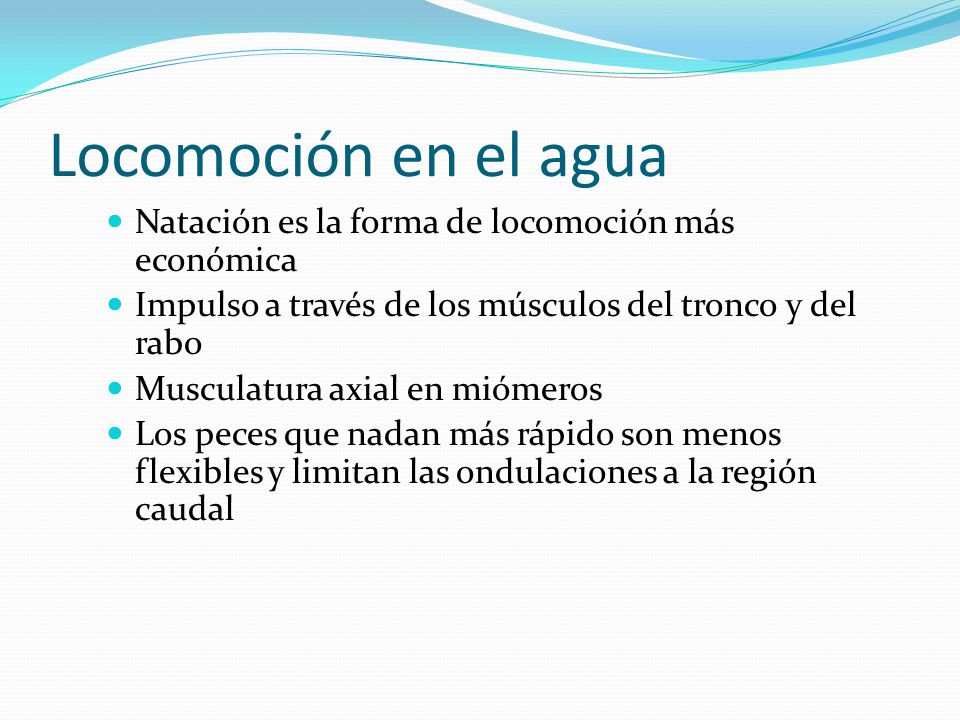 Locomoción en el agua Natación es la forma de locomoción más económica
