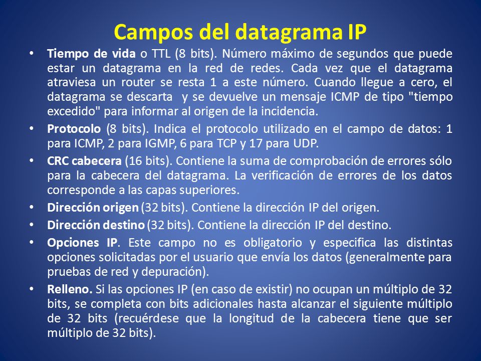 Campos del datagrama IP