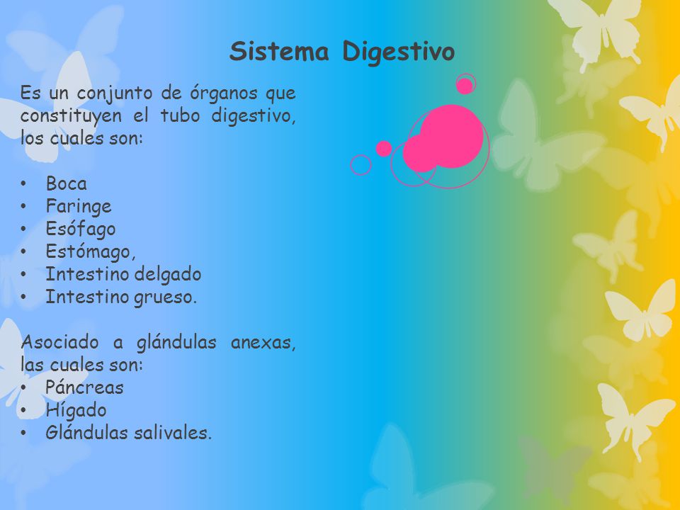 Sistema Digestivo Es un conjunto de órganos que constituyen el tubo digestivo, los cuales son: Boca.
