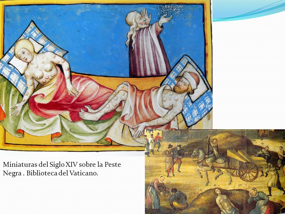 Miniaturas del Siglo XIV sobre la Peste Negra . Biblioteca del Vaticano.