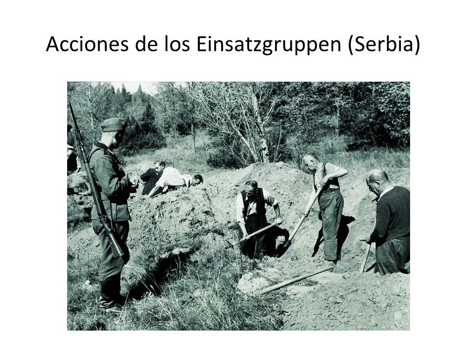 Acciones de los Einsatzgruppen (Serbia)