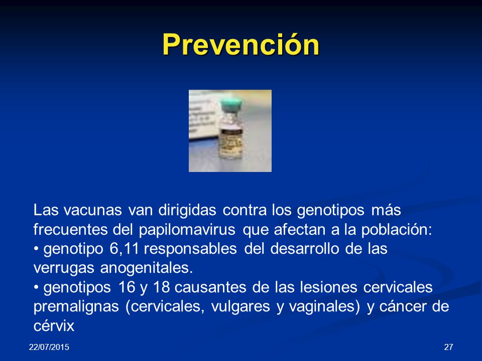 Prevención Las vacunas van dirigidas contra los genotipos más frecuentes del papilomavirus que afectan a la población: