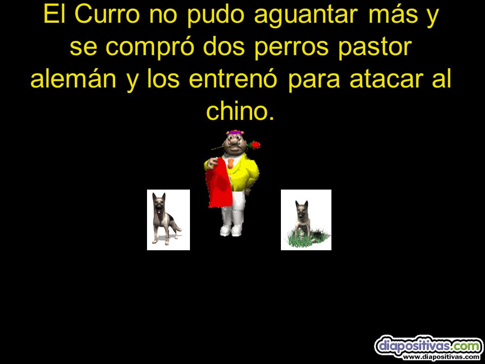 El Curro no pudo aguantar más y se compró dos perros pastor alemán y los entrenó para atacar al chino.