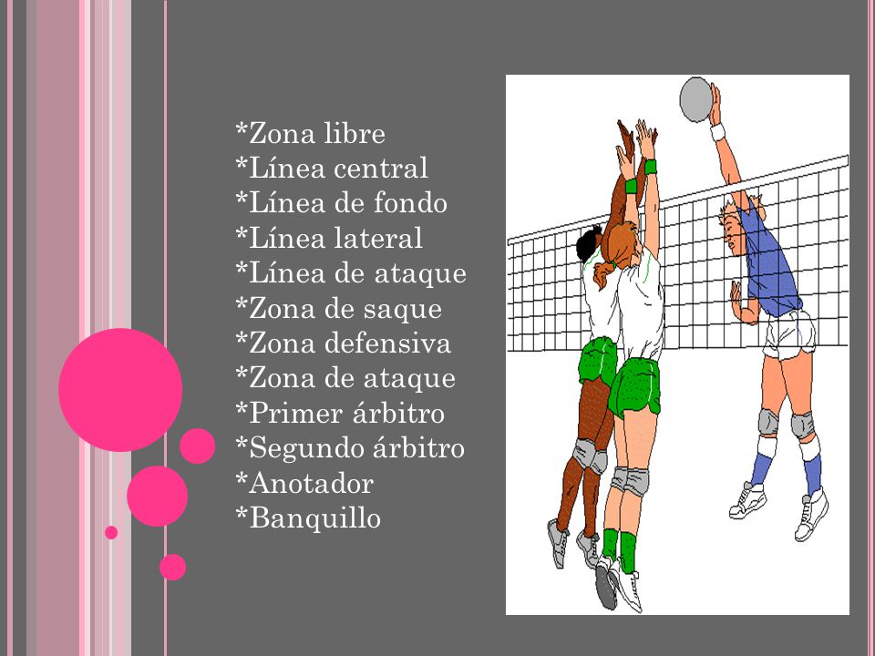 *Zona libre *Línea central. *Línea de fondo. *Línea lateral. *Línea de ataque. *Zona de saque. *Zona defensiva.