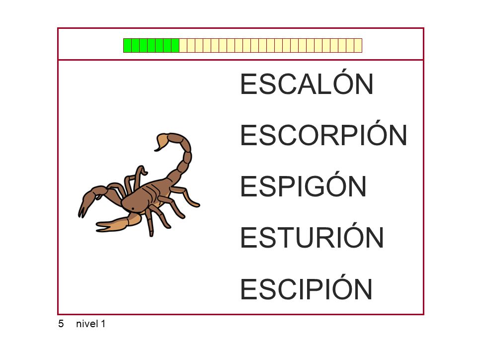 ESCALÓN ESCORPIÓN ESPIGÓN ESTURIÓN ESCIPIÓN 5 nivel 1