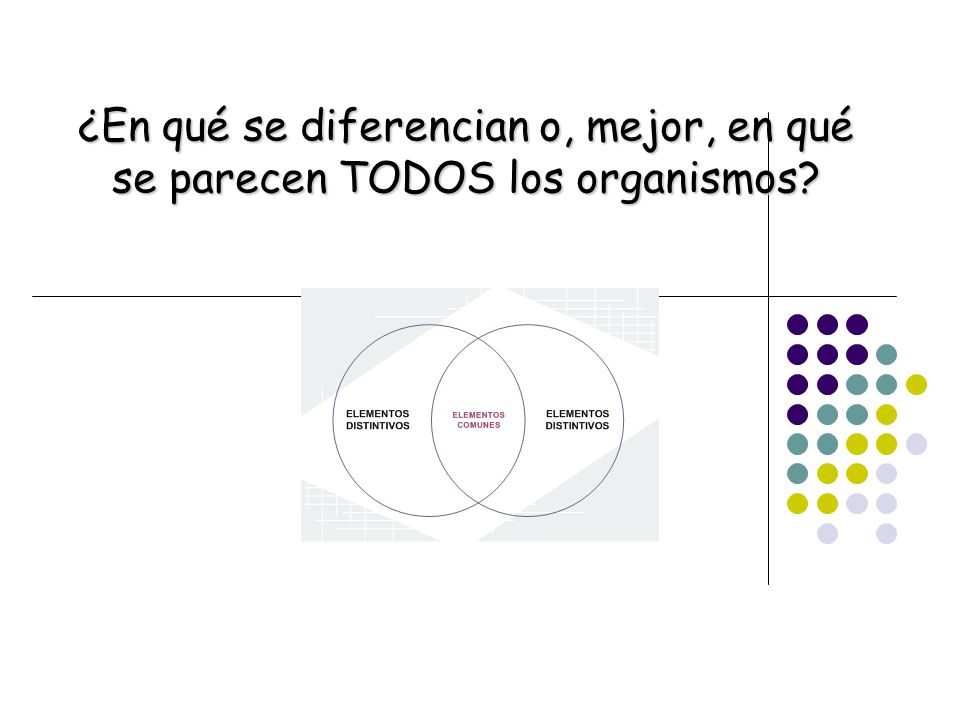 ¿En qué se diferencian o, mejor, en qué se parecen TODOS los organismos