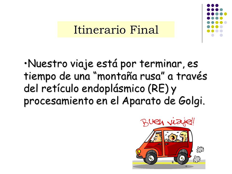 Itinerario Final