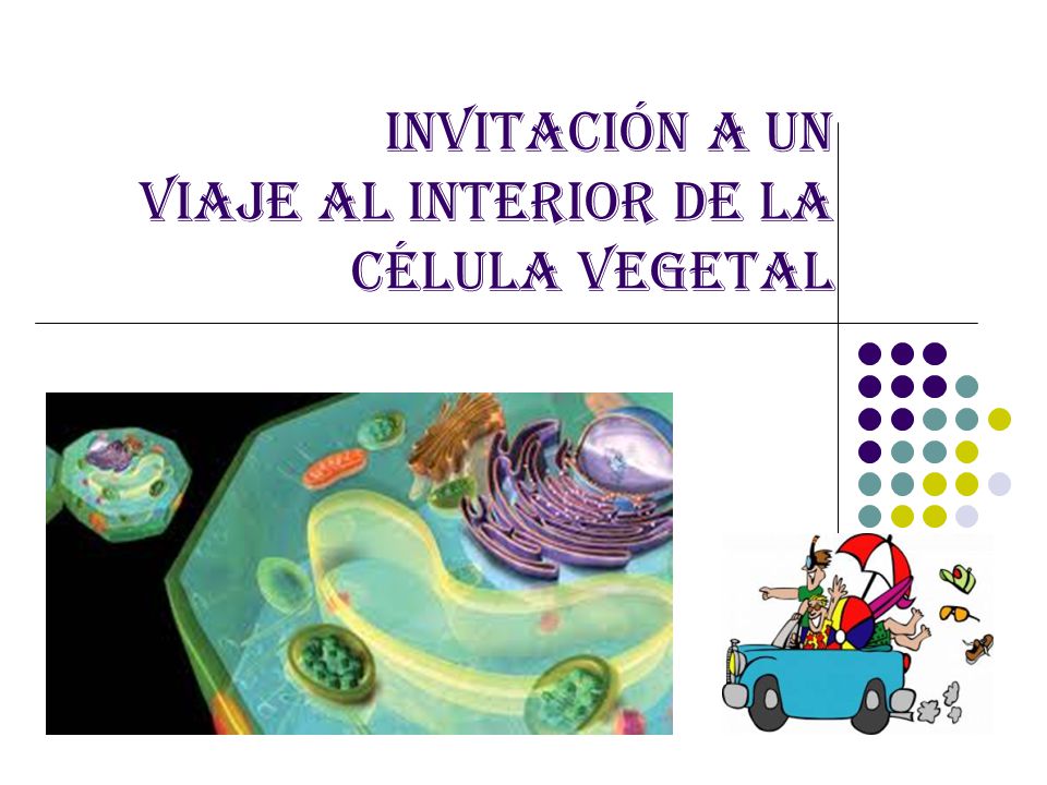 INVITACIÓN a un Viaje al interior de la Célula VEGETAL