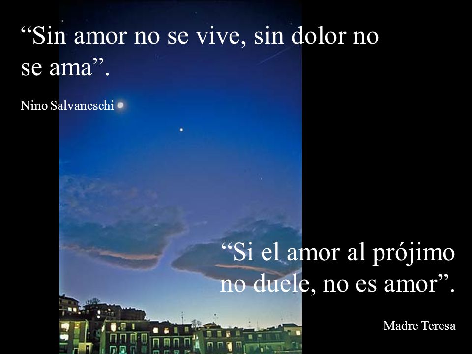 Sin amor no se vive, sin dolor no se ama .