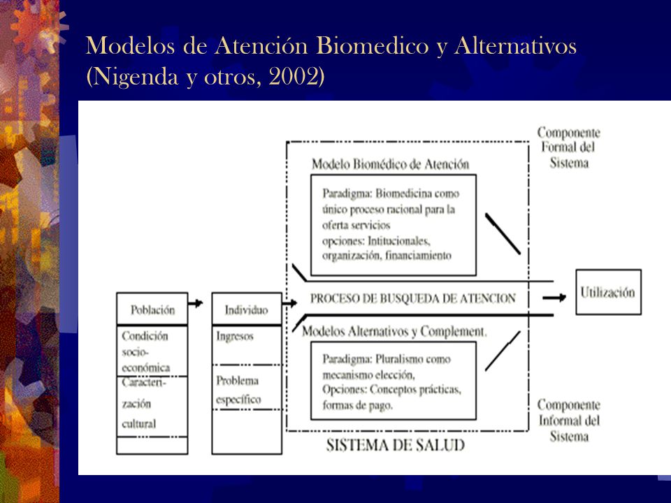 Modelos de Atención Biomedico y Alternativos (Nigenda y otros, 2002)