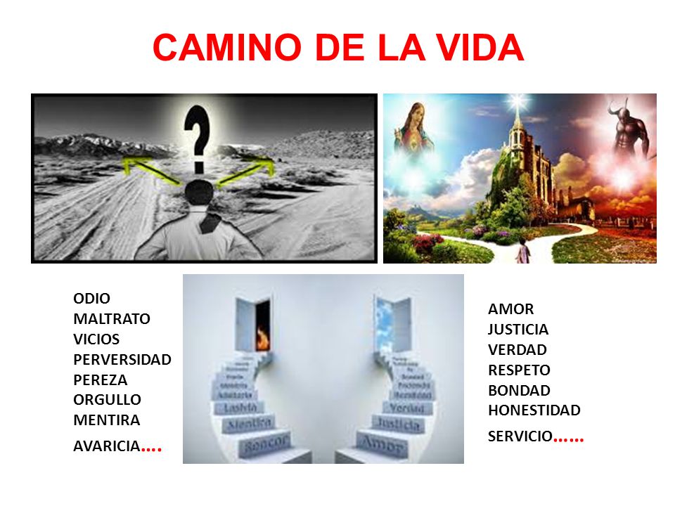 CAMINO DE LA VIDA ODIO MALTRATO VICIOS PERVERSIDAD PEREZA ORGULLO