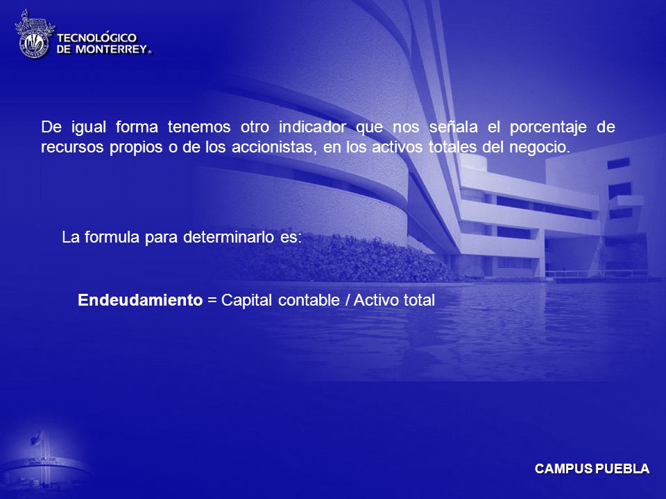 De igual forma tenemos otro indicador que nos señala el porcentaje de recursos propios o de los accionistas, en los activos totales del negocio.