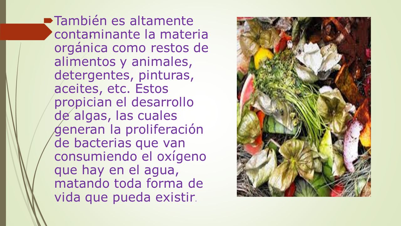 También es altamente contaminante la materia orgánica como restos de alimentos y animales, detergentes, pinturas, aceites, etc. Estos propician el desarrollo de algas, las cuales generan la proliferación de bacterias que van consumiendo el oxígeno que hay en el agua, matando toda forma de vida que pueda existir.