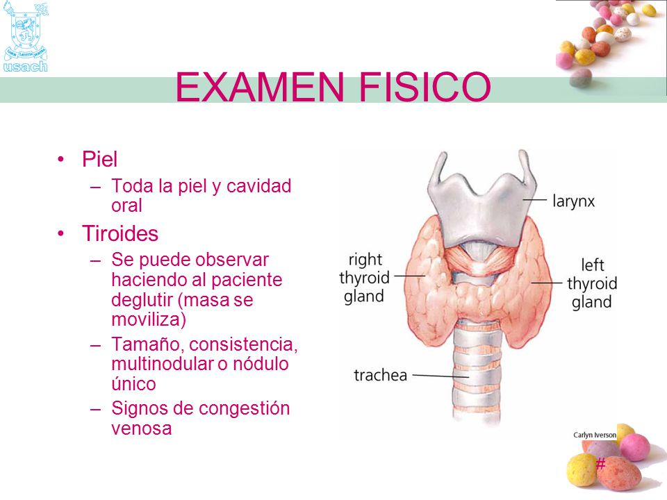 EXAMEN FISICO Piel Tiroides Toda la piel y cavidad oral