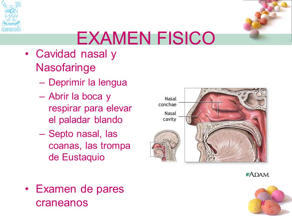 EXAMEN FISICO Cavidad nasal y Nasofaringe Examen de pares craneanos