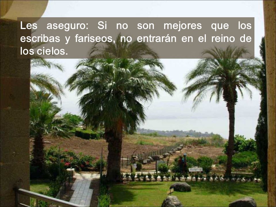 Les aseguro: Si no son mejores que los escribas y fariseos, no entrarán en el reino de los cielos.