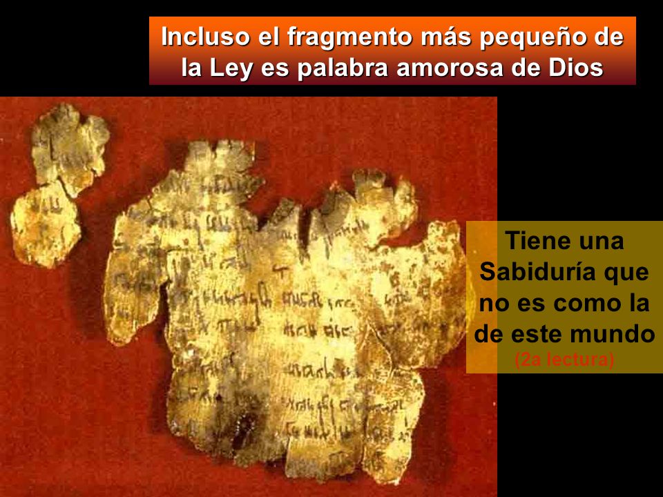 Incluso el fragmento más pequeño de la Ley es palabra amorosa de Dios