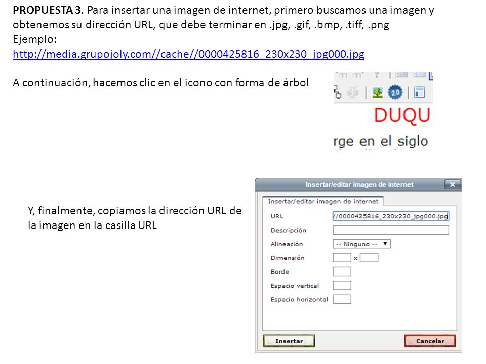 PROPUESTA 3. Para insertar una imagen de internet, primero buscamos una imagen y obtenemos su dirección URL, que debe terminar en .jpg, .gif, .bmp, .tiff, .png