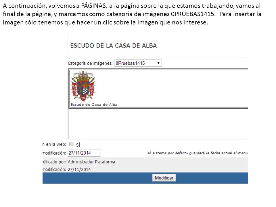 A continuación, volvemos a PÁGINAS, a la página sobre la que estamos trabajando, vamos al final de la página, y marcamos como categoría de imágenes 0PRUEBAS1415.