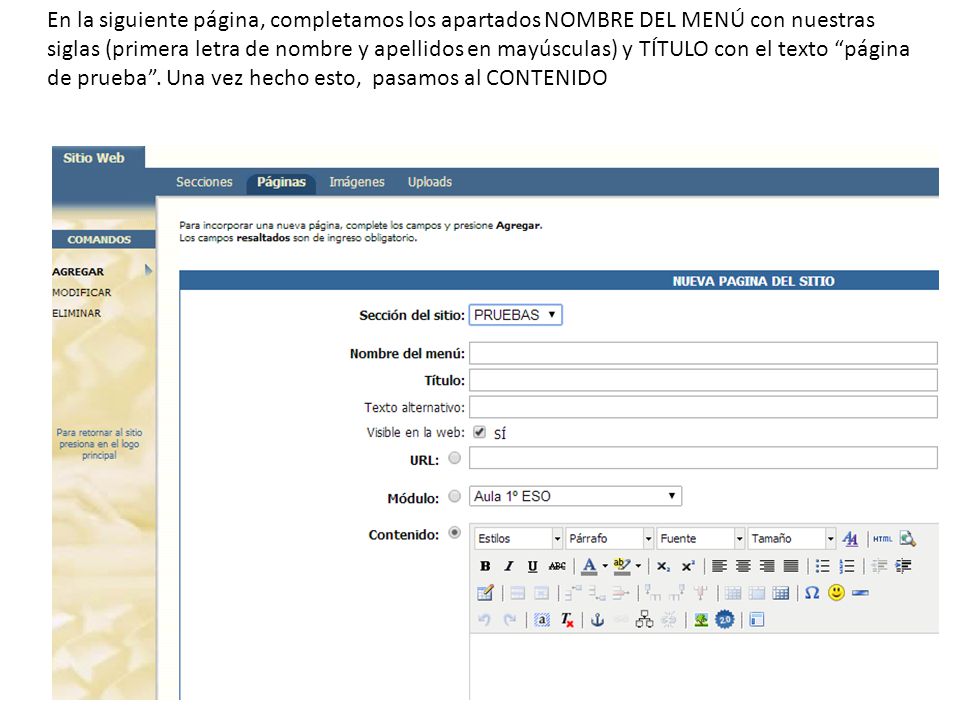 En la siguiente página, completamos los apartados NOMBRE DEL MENÚ con nuestras siglas (primera letra de nombre y apellidos en mayúsculas) y TÍTULO con el texto página de prueba .