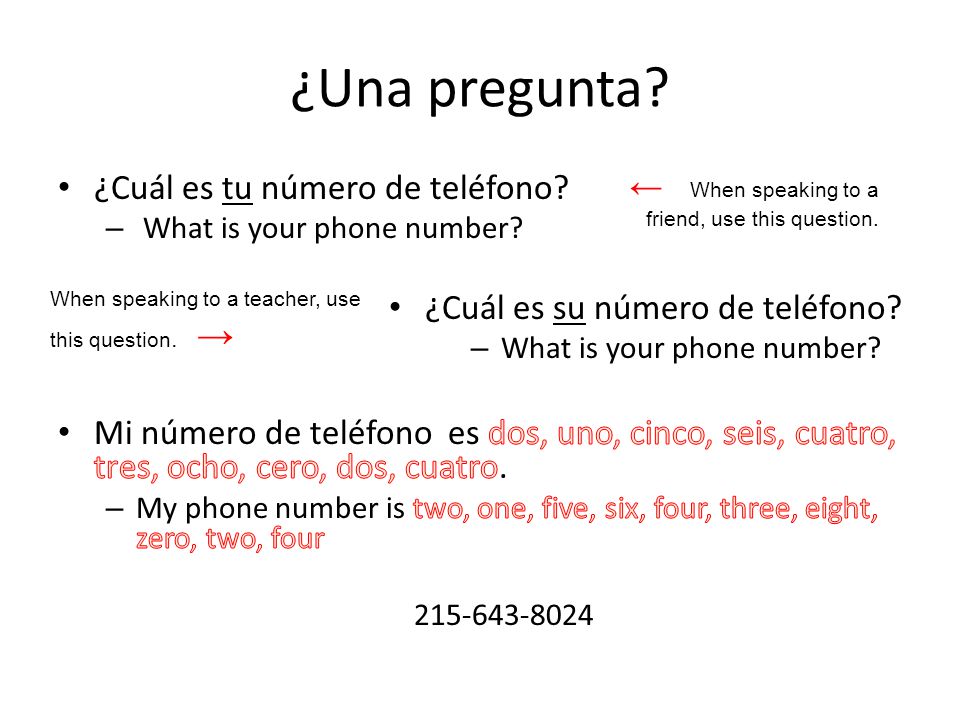 ¿Una pregunta ¿Cuál es tu número de teléfono