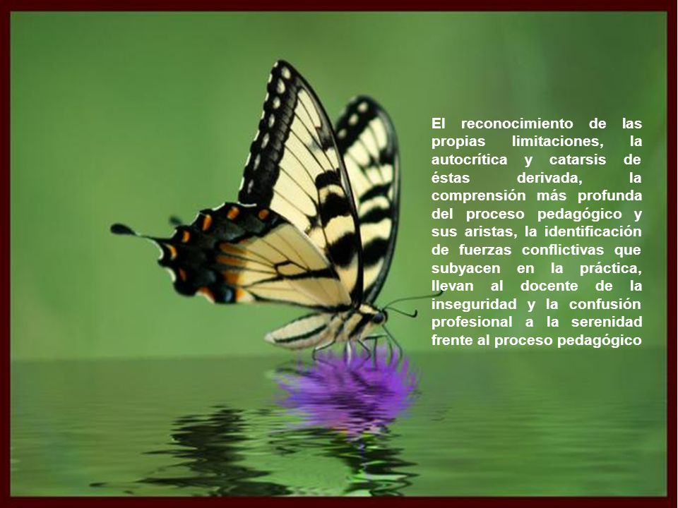 El reconocimiento de las propias limitaciones, la autocrítica y catarsis de éstas derivada, la comprensión más profunda del proceso pedagógico y sus aristas, la identificación de fuerzas conflictivas que subyacen en la práctica, llevan al docente de la inseguridad y la confusión profesional a la serenidad frente al proceso pedagógico