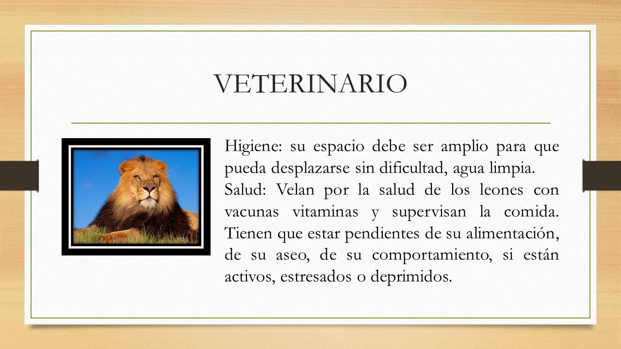 VETERINARIO Higiene: su espacio debe ser amplio para que pueda desplazarse sin dificultad, agua limpia.