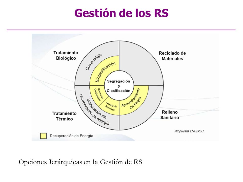Gestión de los RS Opciones Jerárquicas en la Gestión de RS