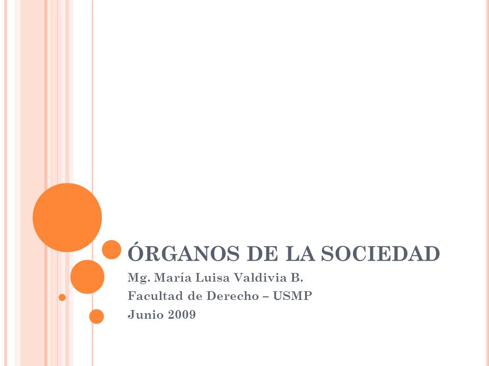 Mg. María Luisa Valdivia B. Facultad de Derecho – USMP Junio 2009