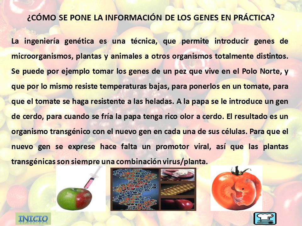¿CÓMO SE PONE LA INFORMACIÓN DE LOS GENES EN PRÁCTICA