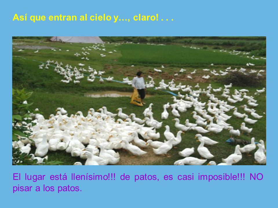Así que entran al cielo y…, claro! . . .