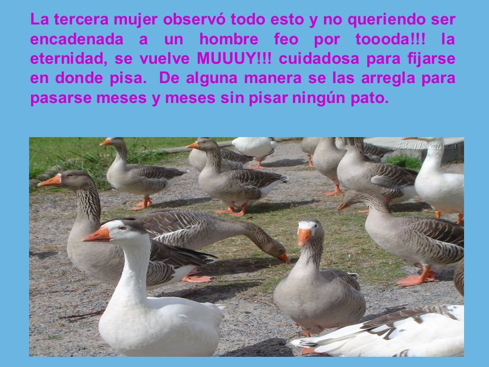 La tercera mujer observó todo esto y no queriendo ser encadenada a un hombre feo por toooda!!.