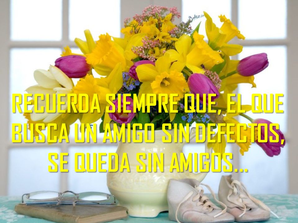 RECUERDA SIEMPRE QUE, EL QUE BUSCA UN AMIGO SIN DEFECTOS,