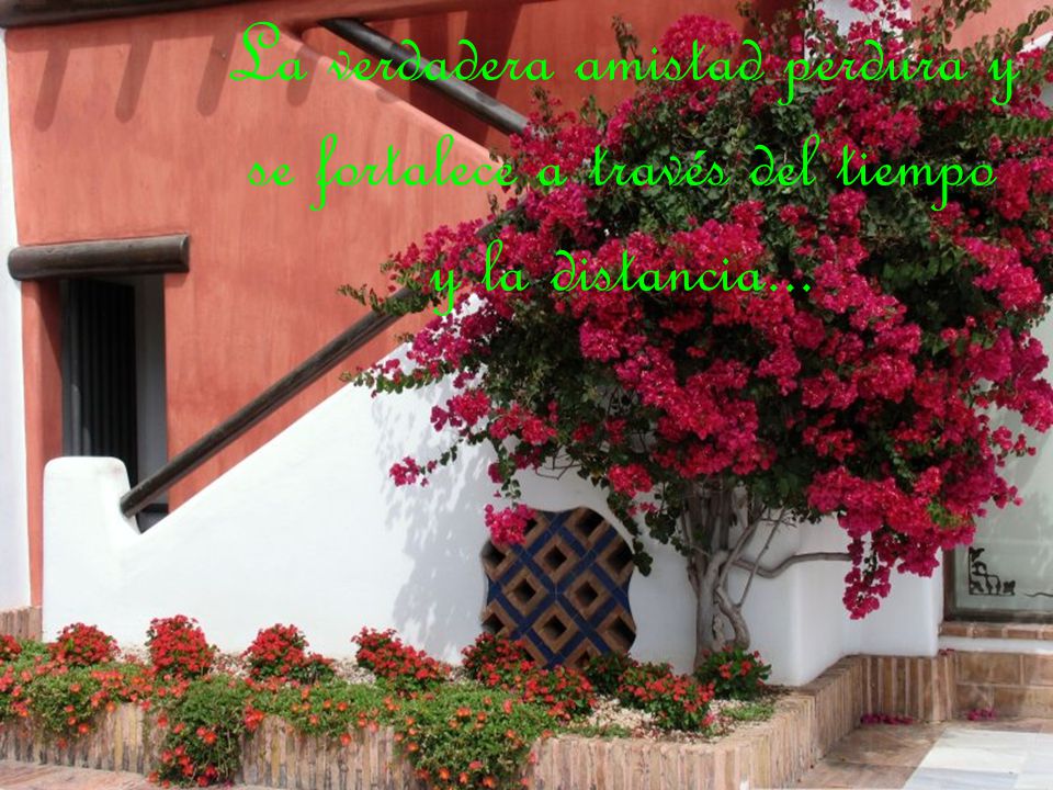 La verdadera amistad perdura y se fortalece a través del tiempo y la distancia...