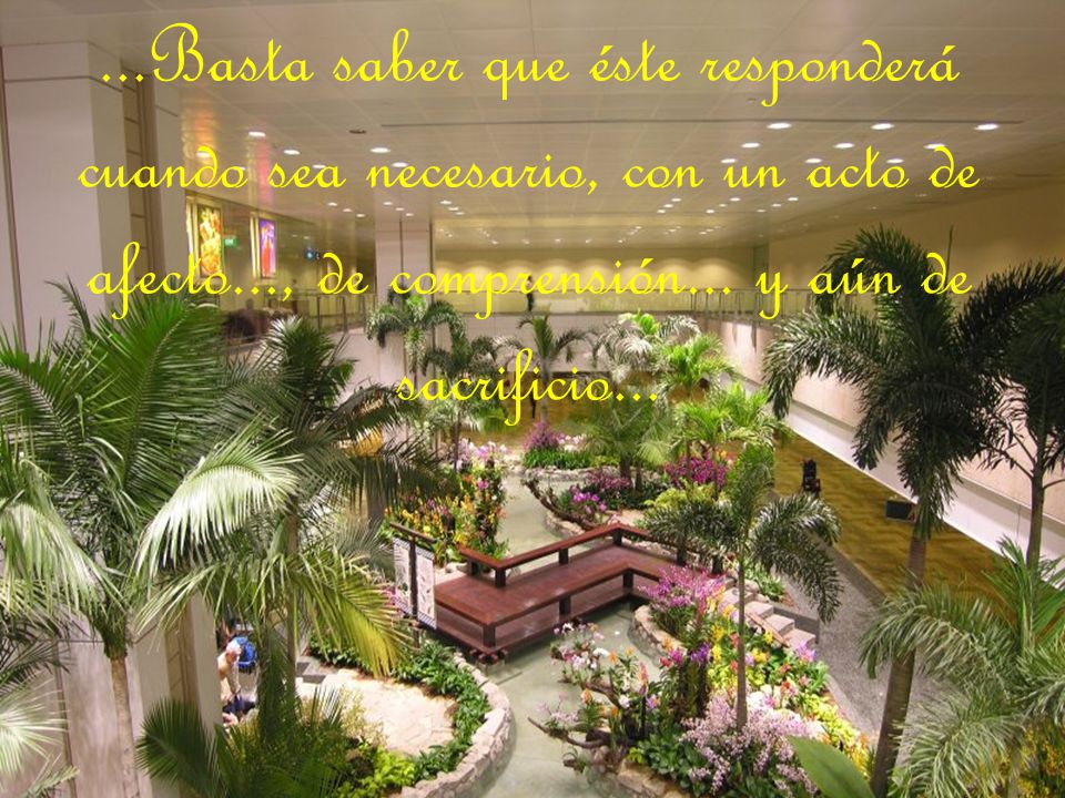 ...Basta saber que éste responderá cuando sea necesario, con un acto de afecto..., de comprensión...
