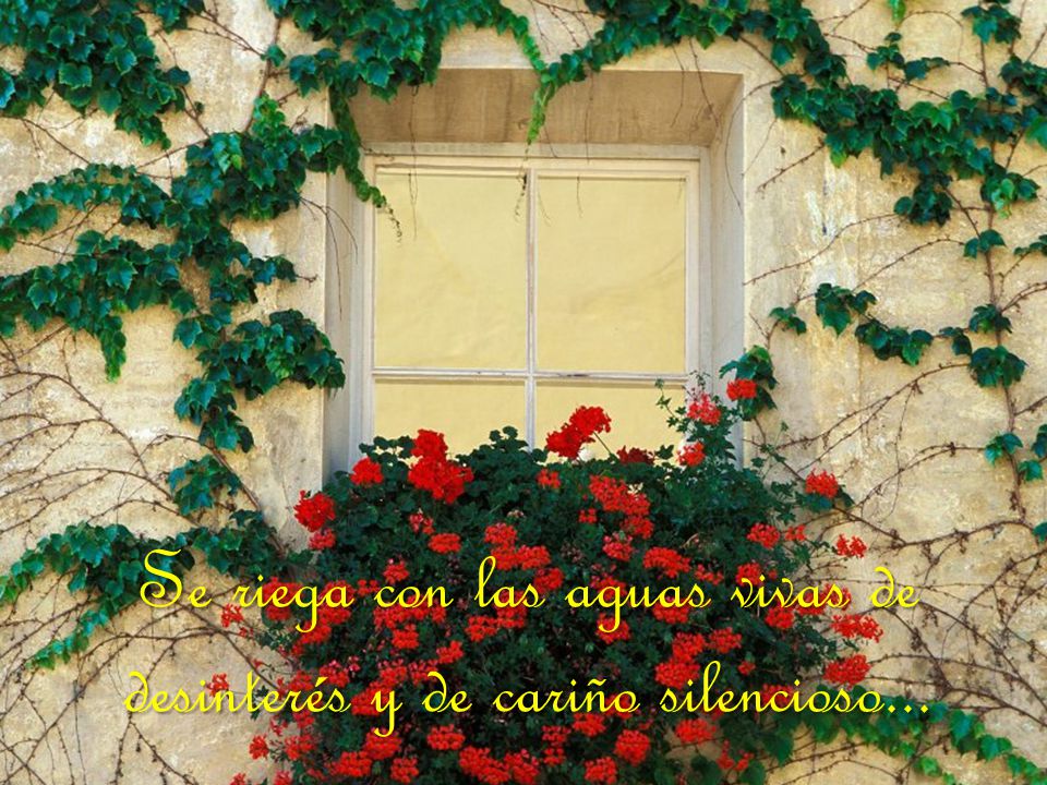 Se riega con las aguas vivas de desinterés y de cariño silencioso...