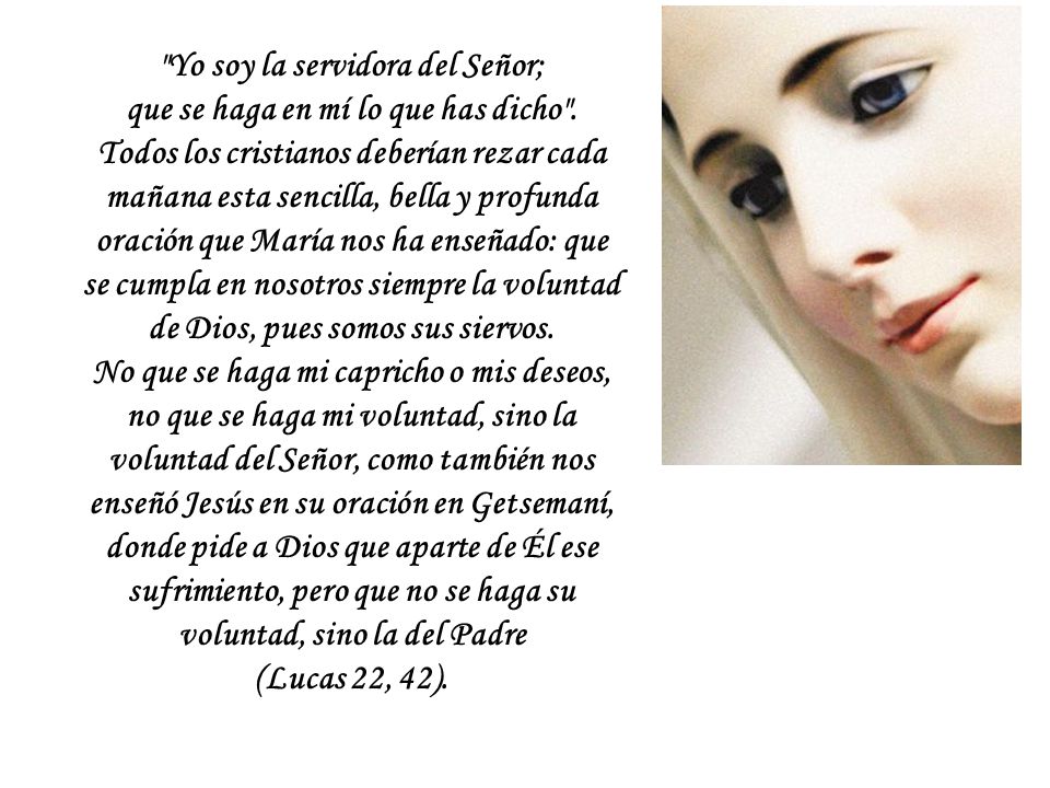 Yo soy la servidora del Señor; que se haga en mí lo que has dicho .