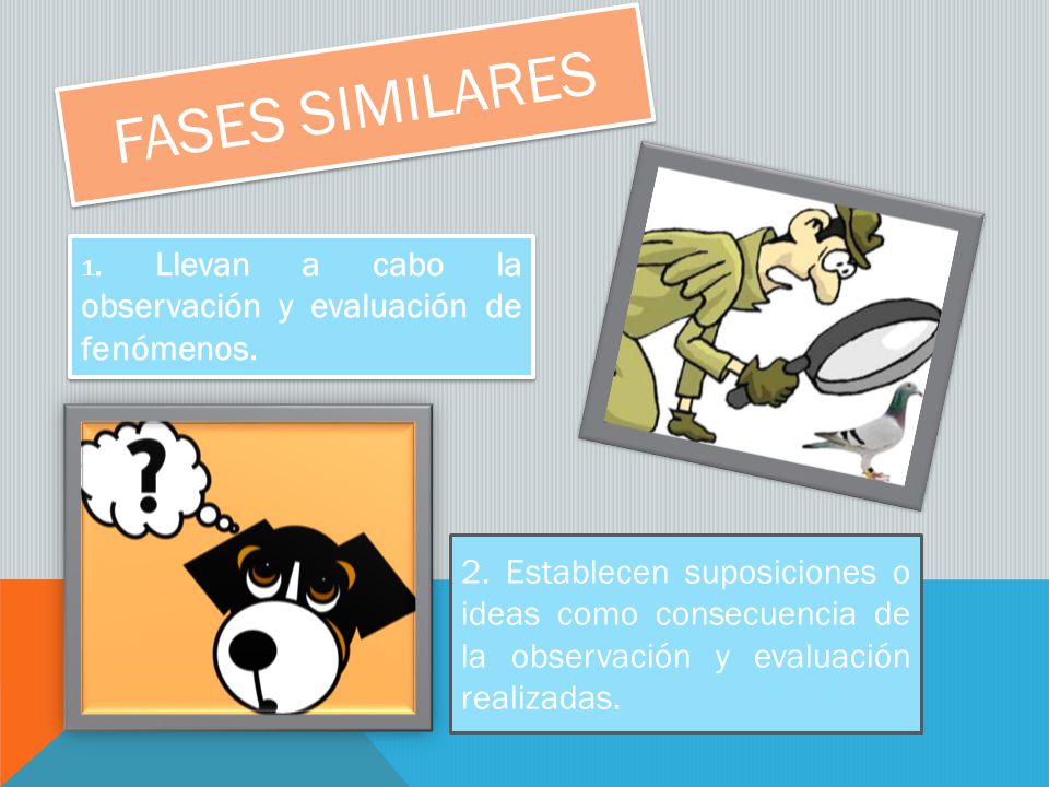 fases similares 1. Llevan a cabo la observación y evaluación de fenómenos.
