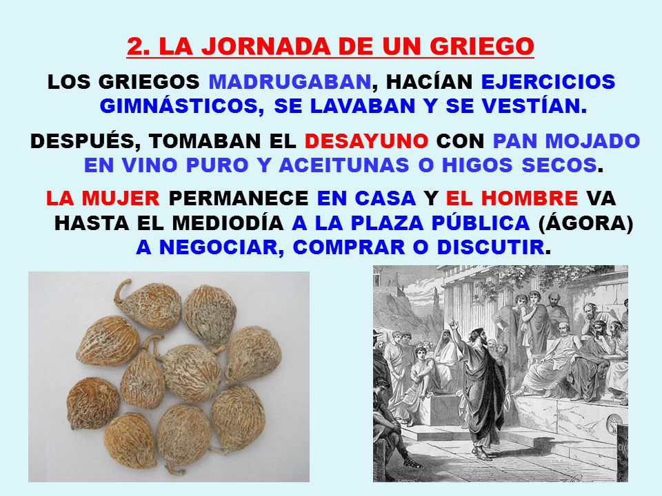 2. LA JORNADA DE UN GRIEGO LOS GRIEGOS MADRUGABAN, HACÍAN EJERCICIOS GIMNÁSTICOS, SE LAVABAN Y SE VESTÍAN.