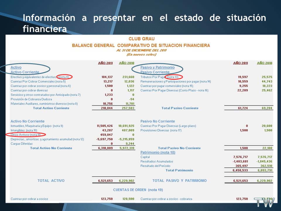 Información a presentar en el estado de situación financiera