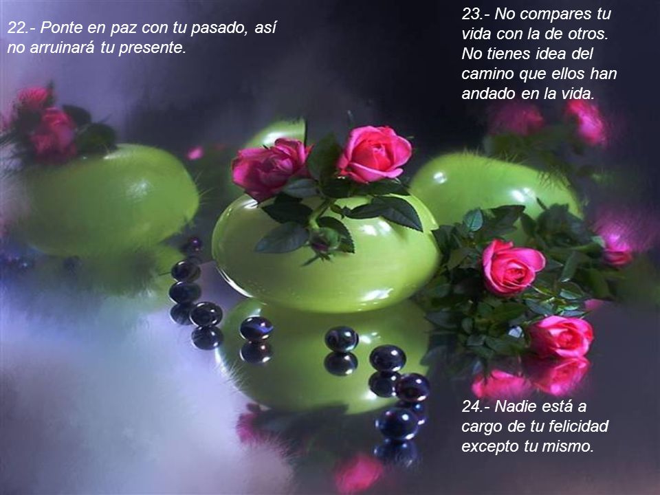 23. - No compares tu vida con la de otros